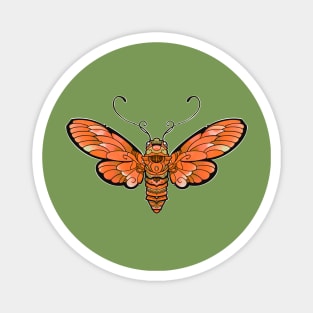 orange butterfly moth Magnet